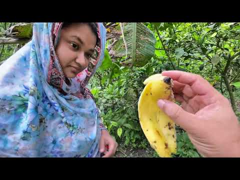 সাবিহার বুদ্ধি হাঁটুর নিচে কথাটা কেন বলি ।Ferdous.Shabiha