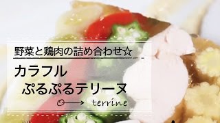 カラフルぷるぷるテリーヌ☆夏野菜と鶏肉の詰め合わせ｜C CHANNELレシピ