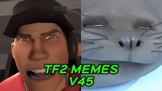TF2 MEMES V45