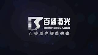 Baisheng Fiber Laser Cutting F3015JDE for Metal by Sigmaco