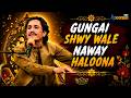 GUNGAI SHWY WALE NAWAY HALOONA || Pashto Song || AVT Khyber