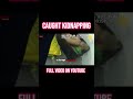 Crime Scene (Caught Kidnapping) #news #crimestories #crime