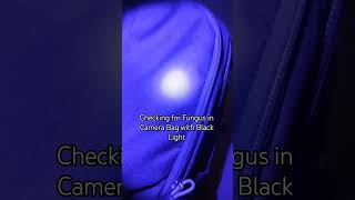 Checking for Fungus in Camera Bag #photography #tamilphotographytutorials