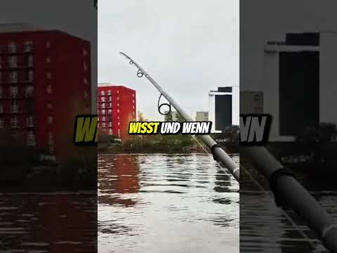 Darauf musst du