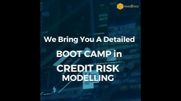 Credit Risk Modelling | 125+ hours | Excel + Python