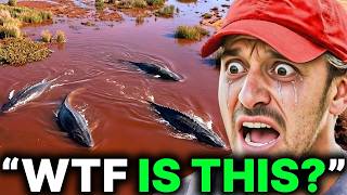 Troy Landry’s Son Makes a Shocking Catch in the Deepest Bayou | Swamp People