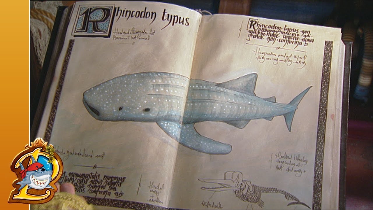 Potvis & Walvishaai - Piet Piraat Wonderwaterwereld