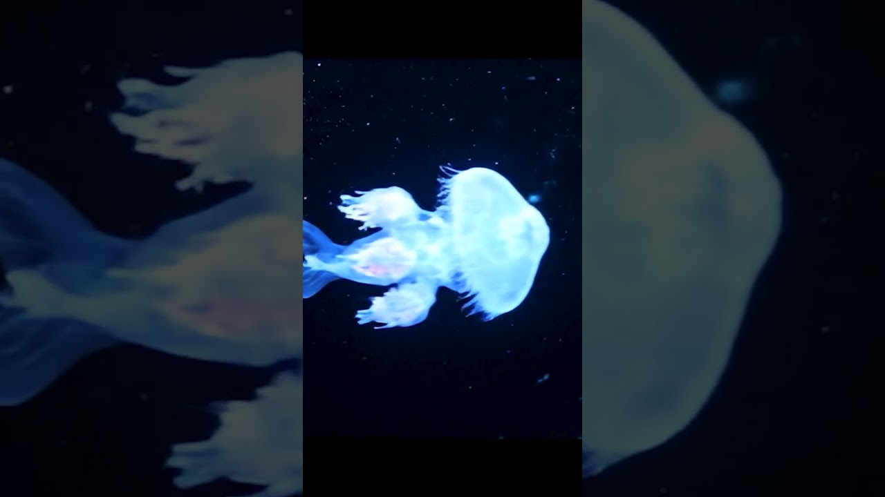 Journey into the Bioluminescent Deep 🐙✨