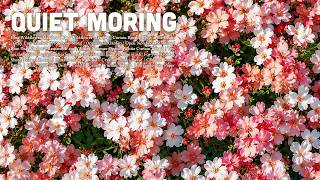 a quiet moment beside the summer garden 🍈 soft piano for reading, work & relaxation screenshot 4
