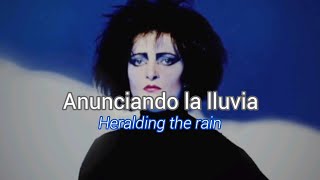 Siouxsie And The Banshees~Cannons(Sub Español/English)