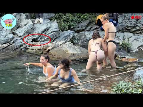 250 Incredible Moments Caught on Camera
