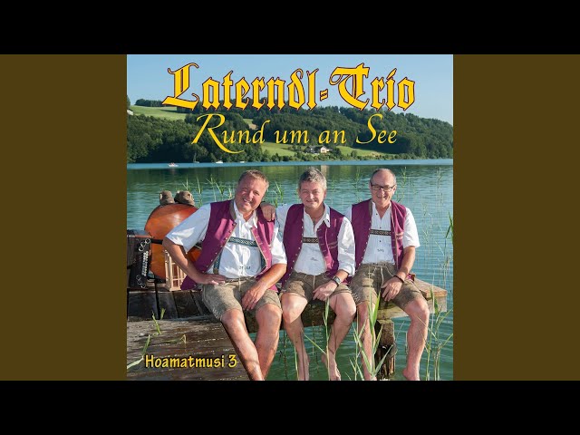 LATERNDL TRIO - STELLTS MEINE ROSS IN STALL