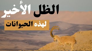 خمس من اسماء الحيوانات المنقرضة حديثا في العالم.