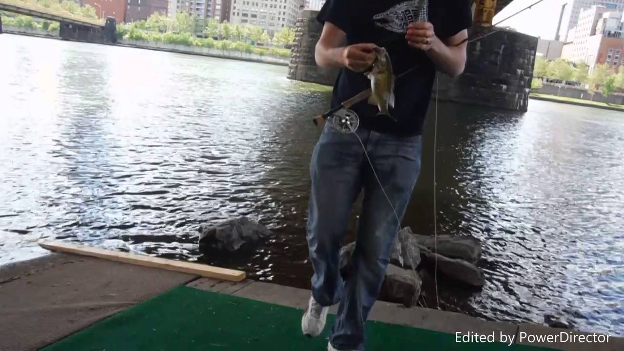 fly fishing for bass pittsburgh YouTube
