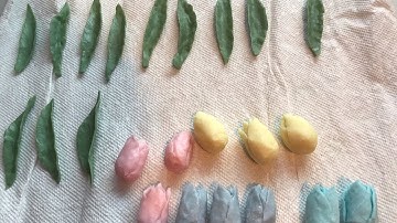 Spring Quartet plus One