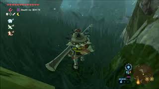 Breath of the Wild - The Lost Pilgrimage