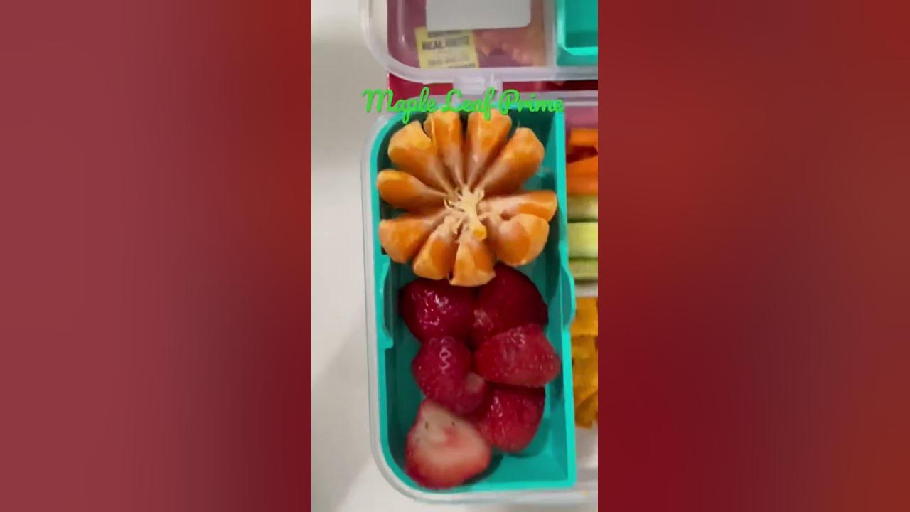 food-ideas-for-lunch-at-school-no-15-shorts-trending-food