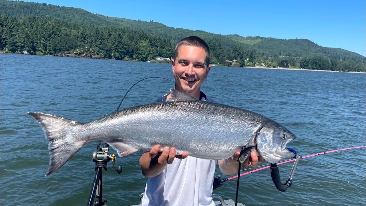 Chinook Salmon Trolling w/ 360 Flashers, SuperBaits, SpinnerBaits & Cut
