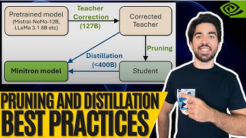 Pruning and Distillation Best Practices: The Minitron Approach Explained