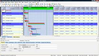 Primavera Risk Analysis (PRA): Format Menu Explained | Display Customization Guide