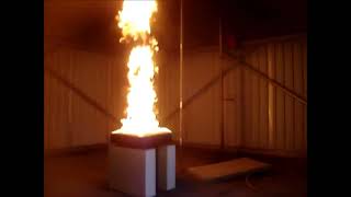 DSPA 8 1 extinguishing test class B fire by Effectis