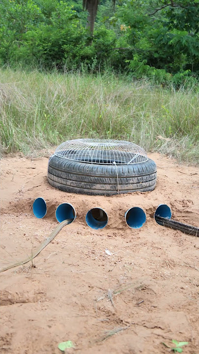 Build Underground Snake Trap Using Tires Car & PVC Pipe #snaketrap #youtubeshorts