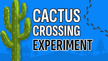 Dit gedachtenexperiment onthult je verborgen morele overtuigingen