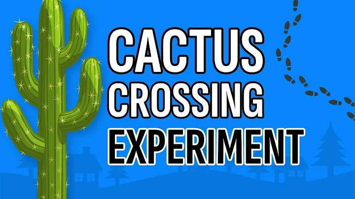 This Thought Experiment Reveals Your Hidden Moral Beliefs thumbnail