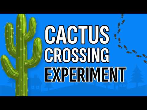 این آزمایش فکری باورهای اخلاقی پنهان شما را آشکار می کند