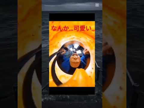 なんか…可愛い…asmr #チャンネル登録お願いします