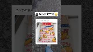 多すぎるwww #shorts #おもしろ #レシピ #自炊 #料理｜バズイッター速報