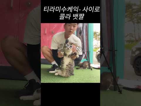 티라미수케익 추는데 뱃살이 <strong>출렁</strong> <strong>출렁</strong>