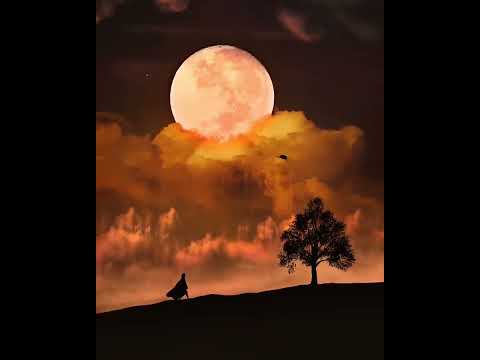 lonely lady on mountain! swan flying in sky #fullmoon #clouds #tree #lady #lonely #lonelylady #viral