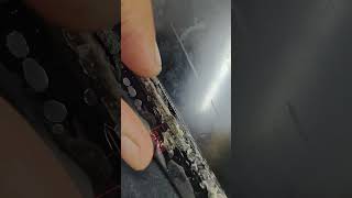 HP VICTUS DISPLAY KHRAB HO GAI KAISE SAHI KARE #shots #shortvideo #hp #display #repair #information