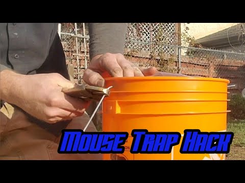 Pet friendly mouse and rat trap and deterrents with simple stuff  Episode 13