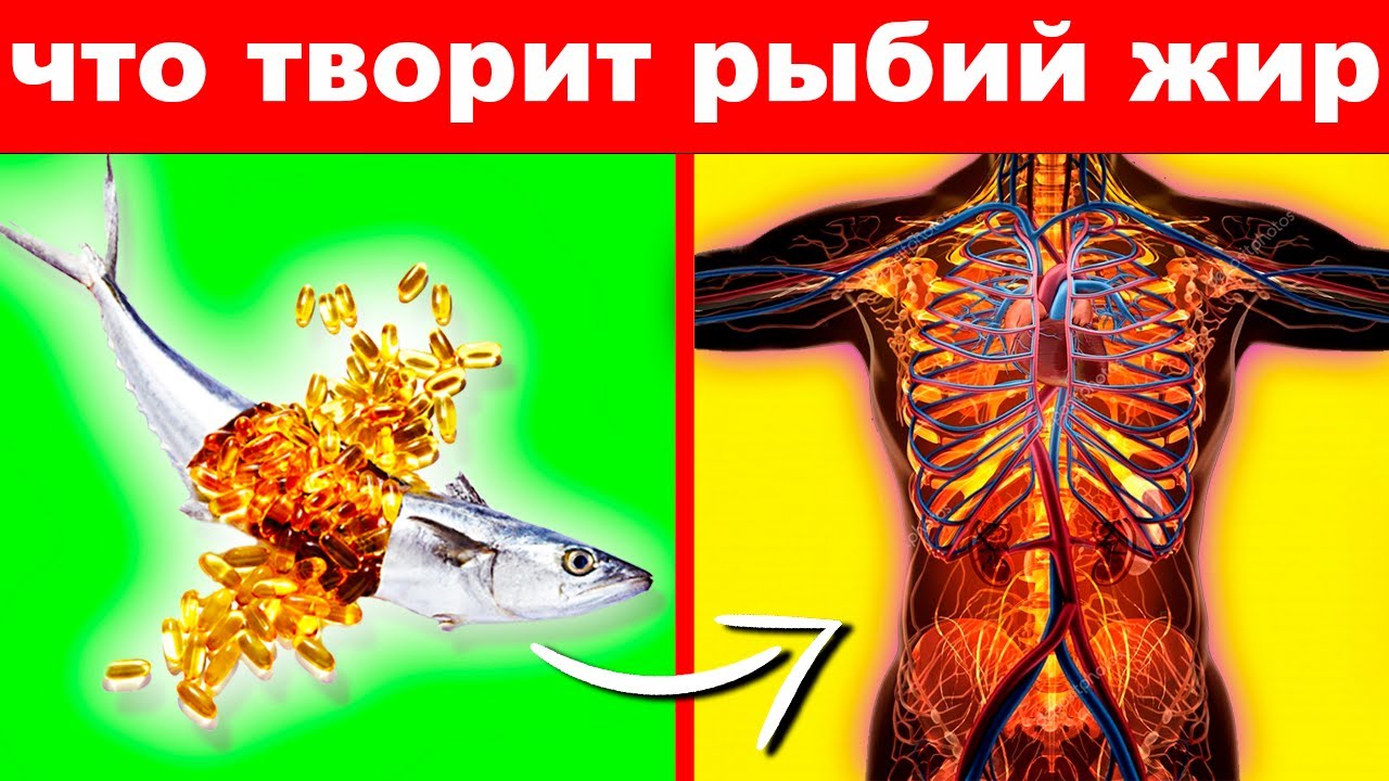 Вред рыбьего Вред рыбьего