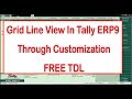 Grid Line View In Tally ERP9 Through Customization (FREE CUSTOMIZATION)