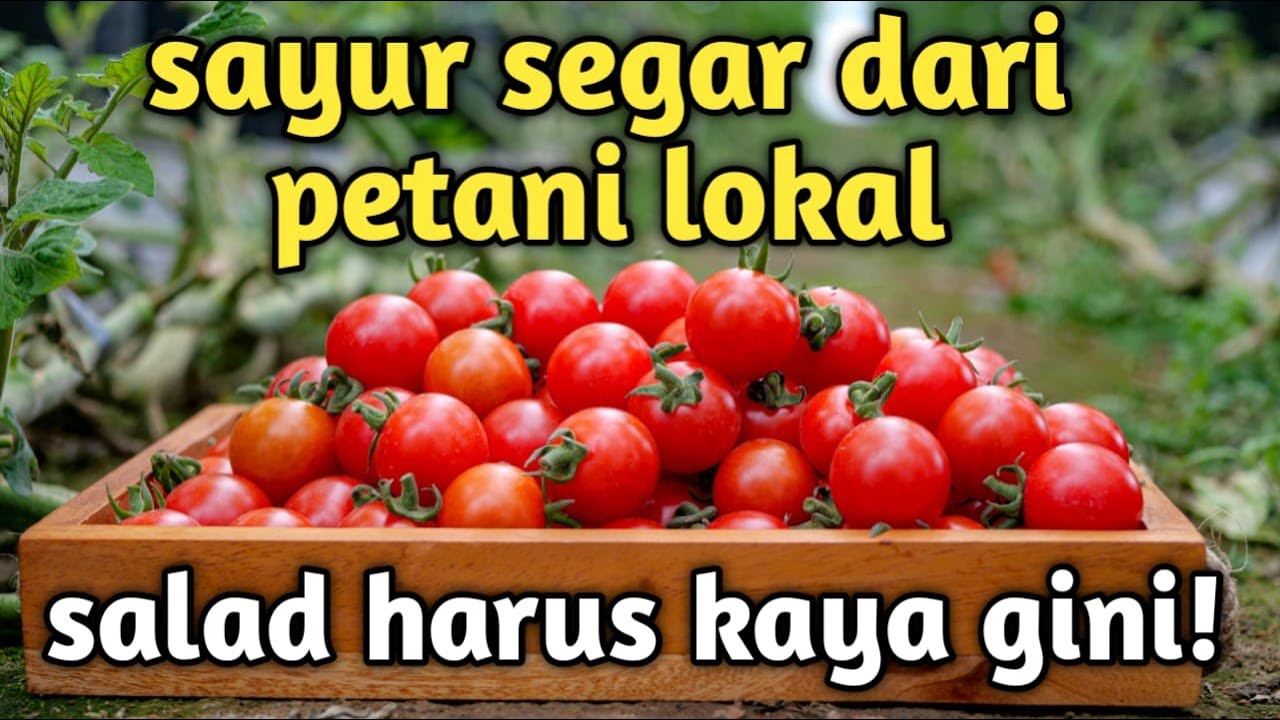 MAKAN SAYUR SEGAR LANGSUNG DARI PETANI LOKAL!!!- Review Salad Point Id | VLOG 