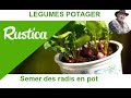 Semer des radis en pot