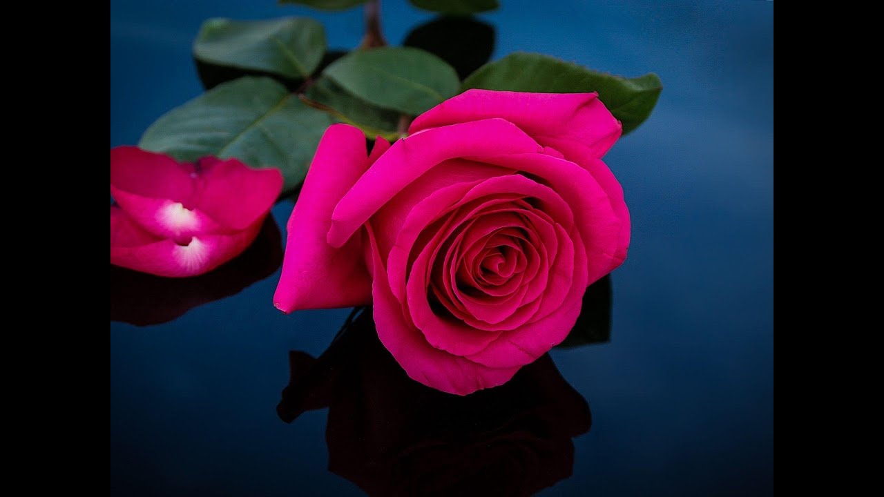 Genesis 3:1-12 (NIV)