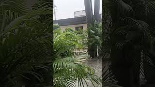 Tera Chehra Jab Nazar Aaye Music Izazat