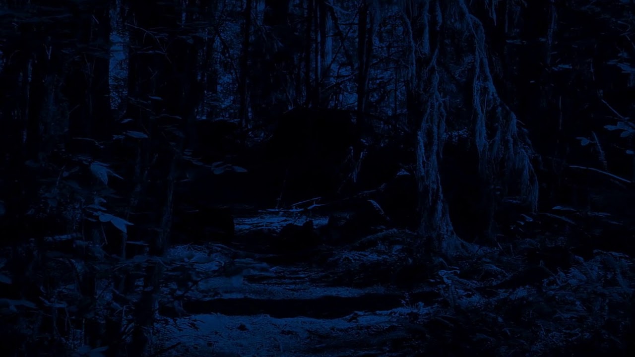 filme de suspense e ação O SACI TENTOU NOS CAPTURAR NO MEIO DA TRILHA