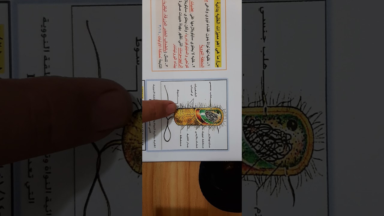 ٢٤ أغسطس ٢٠٢١