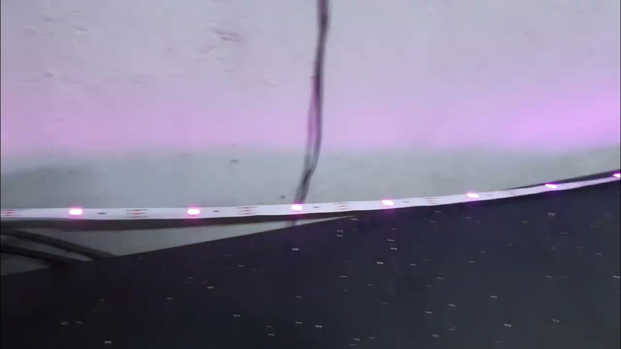 Cozylady Led Strip Lights, 100 funciones + crear configuraciones al