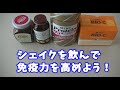 栄養満点！ミキシェイク作ってみた！【ミキラブチャンネル】