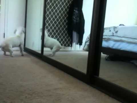 Monty's First Day
