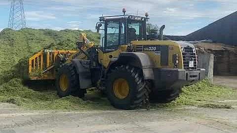 Noel Wright First Cut Silage 2021