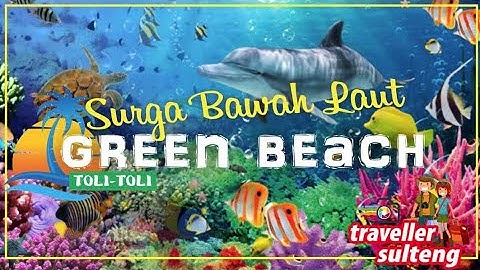 Wonderful Green Beach Lalos ToliToli Sulawesi Tengah, Surga Bawah Laut Terindah Indonesia
