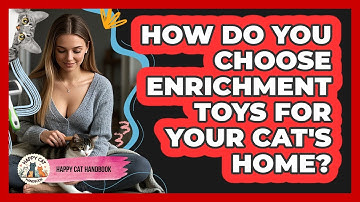 How Do You Choose Enrichment Toys For Your Cat