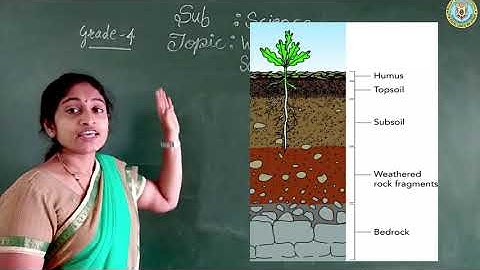 Bridge Course : Grade 4 - Science - Weather , Season, Soil, Water Cycle